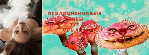 винт Верея